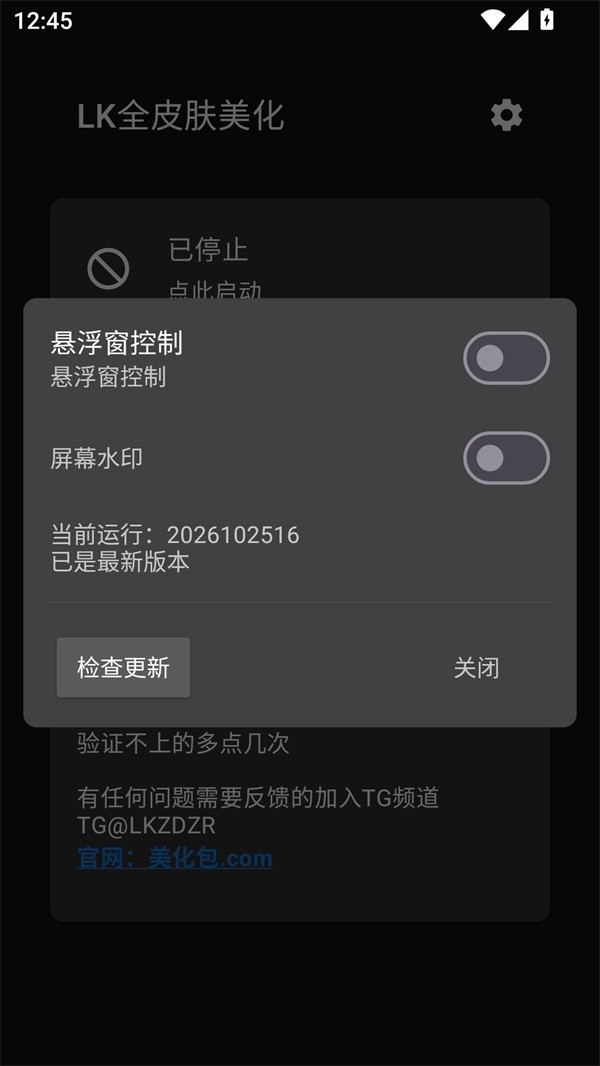 皮肤详情